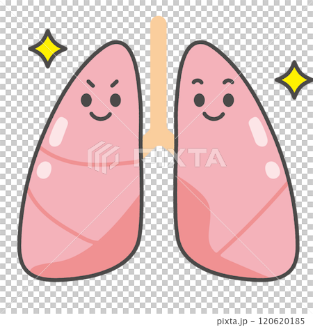 肺のキャラクターイラスト 肺のキャラクターイラスト 120620185
