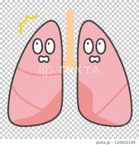 肺のキャラクターイラスト 120620189