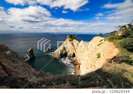 伊豆の奇岩 馬ロック 伊豆の奇岩 馬ロック 120620544