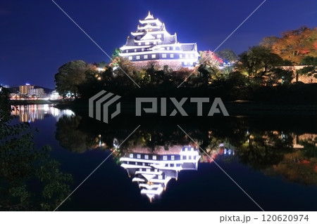 【岡山県】紅葉した岡山城の夜景とライトアップ(令和の大改修後) 【岡山県】紅葉した岡山城の夜景とライトアップ(令和の大改修後) 120620974