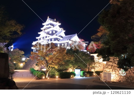 【岡山県】紅葉した岡山城の夜景とライトアップ(令和の大改修後) 【岡山県】紅葉した岡山城の夜景とライトアップ(令和の大改修後) 120621110