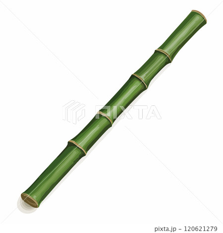 Illustration of a Vibrant Green Bamboo Stem on White Background 120621279