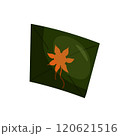 Vector illustration of an envelope with flower. Greetings for the holiday 120621516