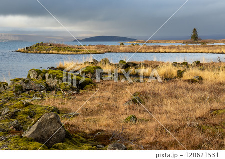 Autumn nature and a lake, Thingvallavatn, Iceland 120621531