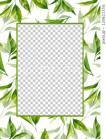 Green tea leaves frame. Floral background 120621558