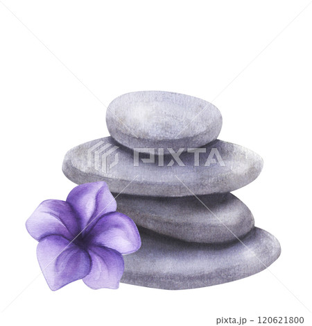 Pyramid of gray stones, purple violet flower. Spa Retreat, massage, meditation, essential oil. Hand drawn watercolor illustration isolated background. For postcards, invitations, flyers, logo Pyramid of gray stones, purple violet flower. Spa Retreat, massage, meditation, essential oil. Hand drawn watercolor illustration isolated background. For postcards, invitations, flyers, logo 120621800