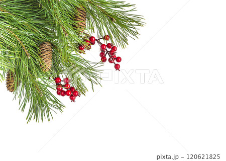 Christmas holiday greeting card template; Bouquet of branches of pine tree with cones, red berries on white background; copy space; flat lay Christmas holiday greeting card template; Bouquet of branches of pine tree with cones, red berries on white background; copy space; flat lay 120621825