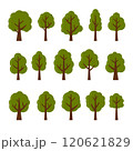 Green Leaf Trees Set on White Background. Vector 120621829