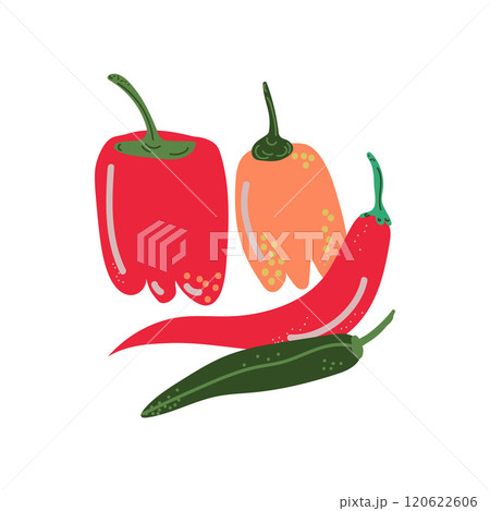 Different Pepper Varieties Fresh Vegetable, Hot and Sweet Bulgarian Bell Peppers, Organic Nutritious Vegetarian Food for Healthy Diet Vector Illustration 120622606