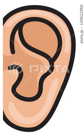Ear color icon. Hearing symbol. Listen sign 120622960