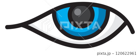 Eye color icon. Vision symbol. Optical sign 120622961