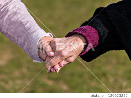 Affection and tenderness of a granddaughter to her grandmother. Traits of aging on the hands Affection and tenderness of a granddaughter to her grandmother. Traits of aging on the hands 120623232