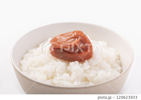 紀州南高梅　ご飯 120623933