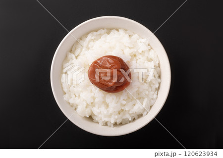 紀州南高梅　ご飯 120623934