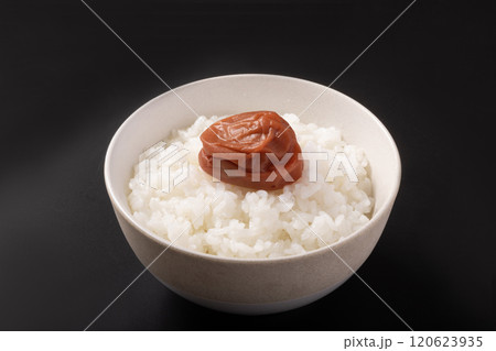 紀州南高梅 ご飯 紀州南高梅 ご飯 120623935