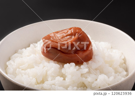 紀州南高梅　ご飯 120623936