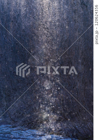 寒さ厳しい北海道の冬の朝に見られるサンピラー 寒さ厳しい北海道の冬の朝に見られるサンピラー 120624356