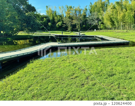 厳島湿生公園 120624400