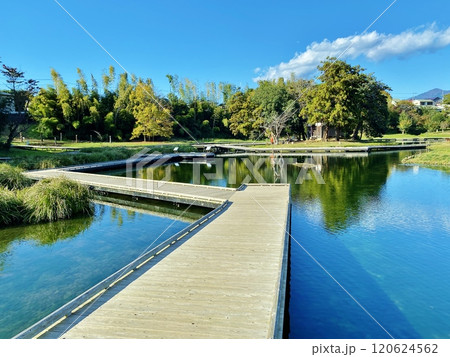 厳島湿生公園 120624562