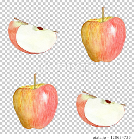 A shiny striped apple whole and a quarter watercolor seamless pattern isolated on white. Hand-painted art perfect for culinary designs, prints, packages, Rosh Hashanah, juice, harvest themed decor 120624729