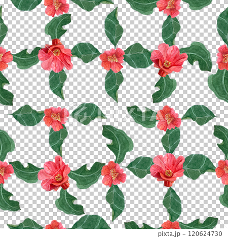 Red pomegranate flowers and green leaves watercolor seamless pattern isolated on white. The hand-painted vibrant artwork perfect for botanical prints, wrapping paper, textile and decor. Summer clip 120624730