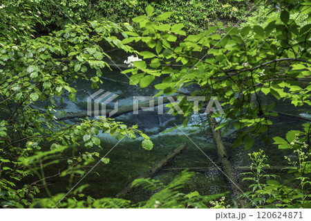 神秘の神の子池 120624871