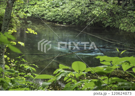 神秘の神の子池 120624873