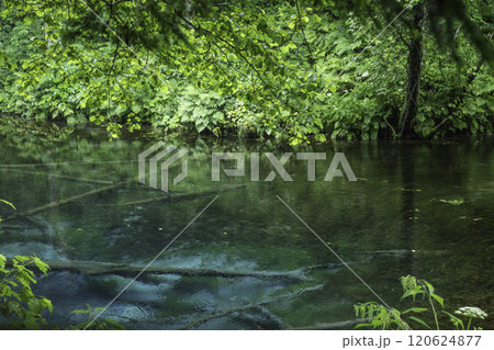 神秘の神の子池 120624877