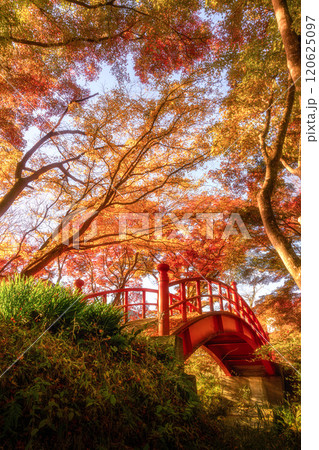 福島県矢祭町　紅葉の矢祭山公園 120625097
