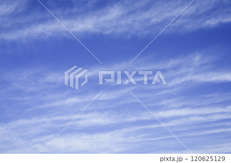 青空（11月） 120625129