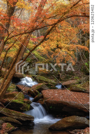福島県矢祭町　紅葉の滝川渓谷 120625402