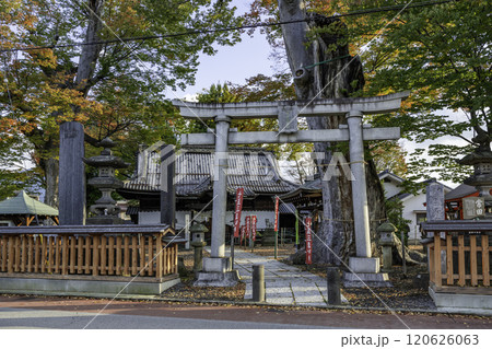 上田　科野大宮社　鳥居　長野県上田市 120626063