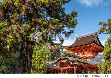 石清水八幡宮 京都府八幡市 石清水八幡宮 京都府八幡市 120626211