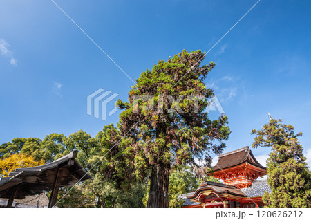 石清水八幡宮　京都府八幡市 120626212