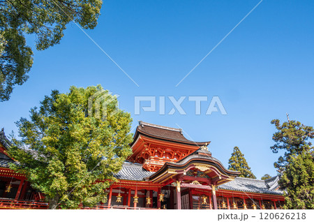 石清水八幡宮 京都府八幡市 石清水八幡宮 京都府八幡市 120626218