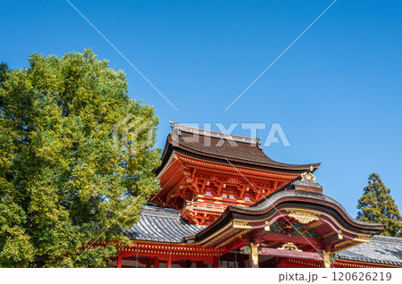 石清水八幡宮　京都府八幡市 120626219