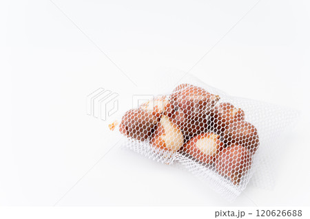 ネットに入ったチューリップの球根 120626688