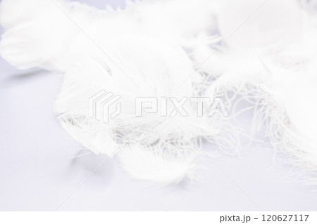 ダウンや羽毛布団を連想させるふんわりした白い羽根のテクスチャ 120627117