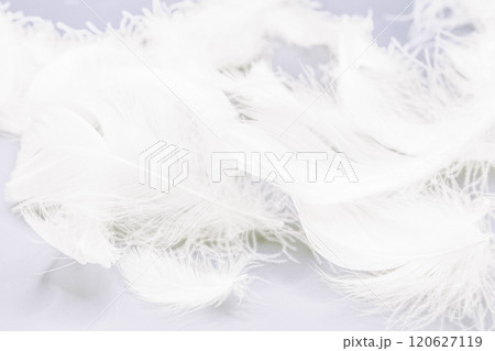 ダウンや羽毛布団を連想させるふんわりした白い羽根のテクスチャ 120627119