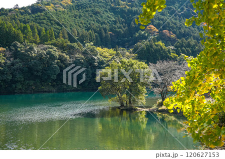 大台　さくらの里公園 120627153