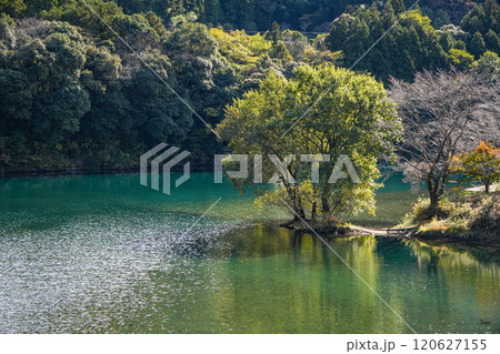 大台 さくらの里公園 大台 さくらの里公園 120627155