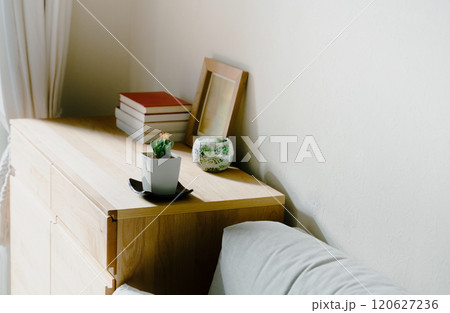 空間を飾る観葉植物 120627236