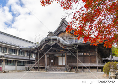 高野山大師教会本部 紅葉に包まれた大講堂 高野山大師教会本部 紅葉に包まれた大講堂 120627242