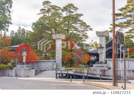 高野山大師教会本部　紅葉に包まれた大講堂 120627253