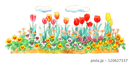 水彩:チューリップ花壇 水彩:チューリップ花壇 120627337
