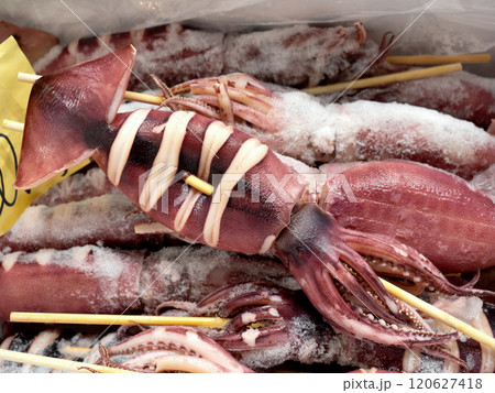 市場に並んだ串イカ 120627418