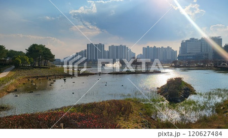 observation platform 120627484