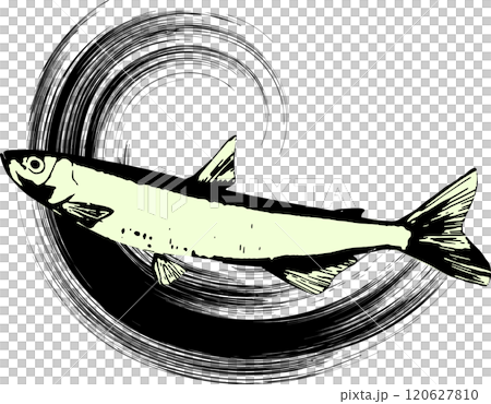 ワカサギの水墨画・和風なイラスト・挿絵 120627810