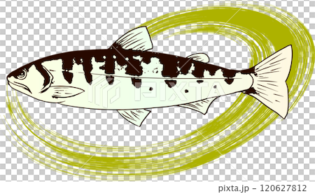 ヤマメの水墨画・和風なイラスト・挿絵 120627812