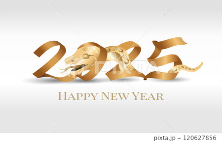 新年 新春 新しい年 120627856